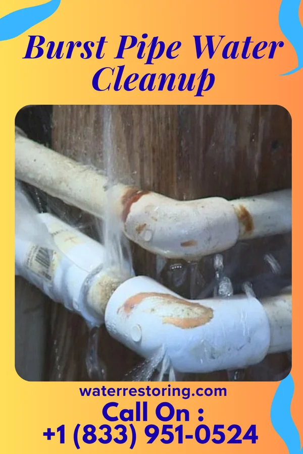 Burst Pipe Water Cleanup in Sixteen Mile Stand, OH