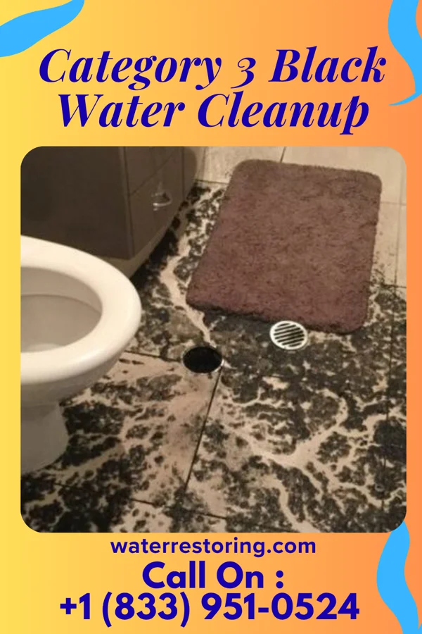 Category 3 Black Water Cleanup in Sixteen Mile Stand, OH