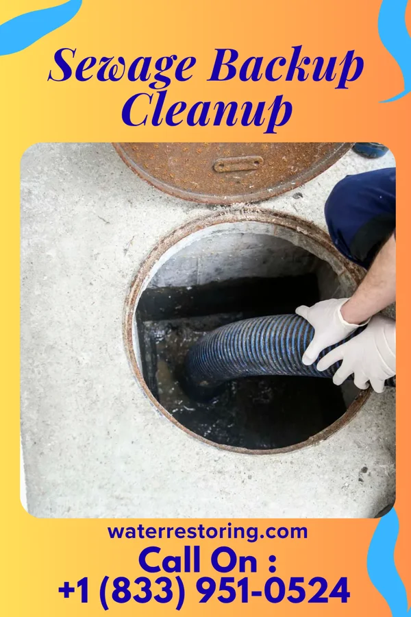 Sewage Backup Cleanup in Sixteen Mile Stand, OH